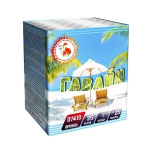 D7410.webp
